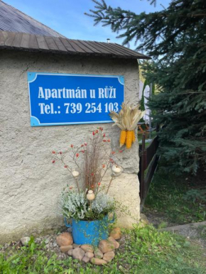 Apartmán U Růži